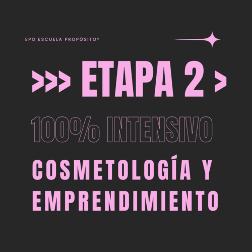 Etapa 2 Estatus Profesional